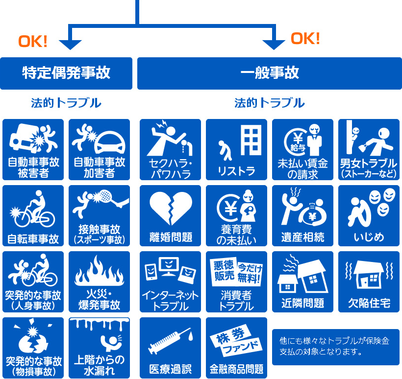 特定偶発事故OK 一般事故OK